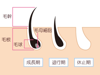 家庭用脱毛器ケノンは毎週使っても効果なし 理想的な期間とは 家庭用脱毛器ケノン 使いこなしてツルツル肌へ